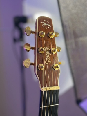 Seagull Guitars - S41541 5